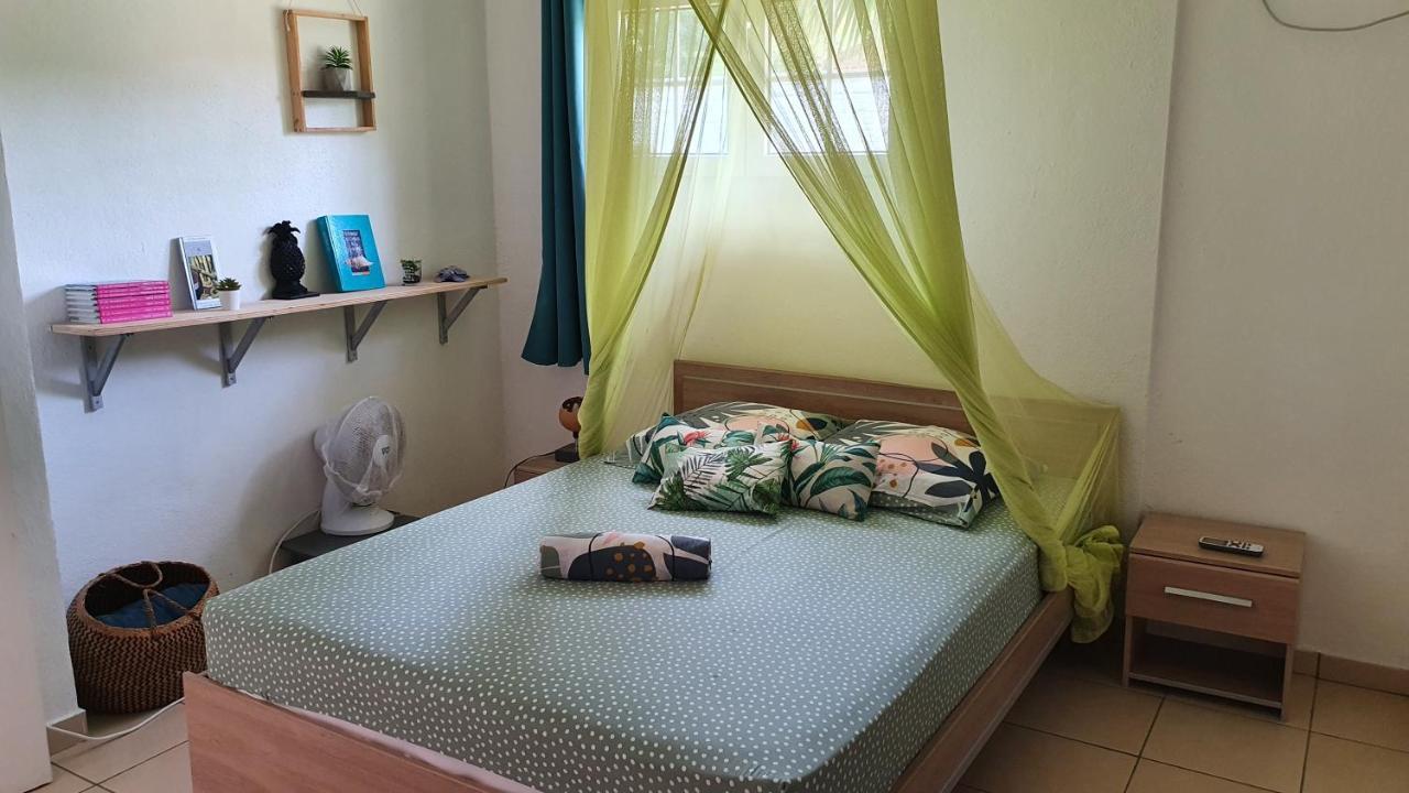 Les Ti Kaz A Papé Choisissez Avec Ou Sans Piscine